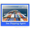 sea horse shipping from china